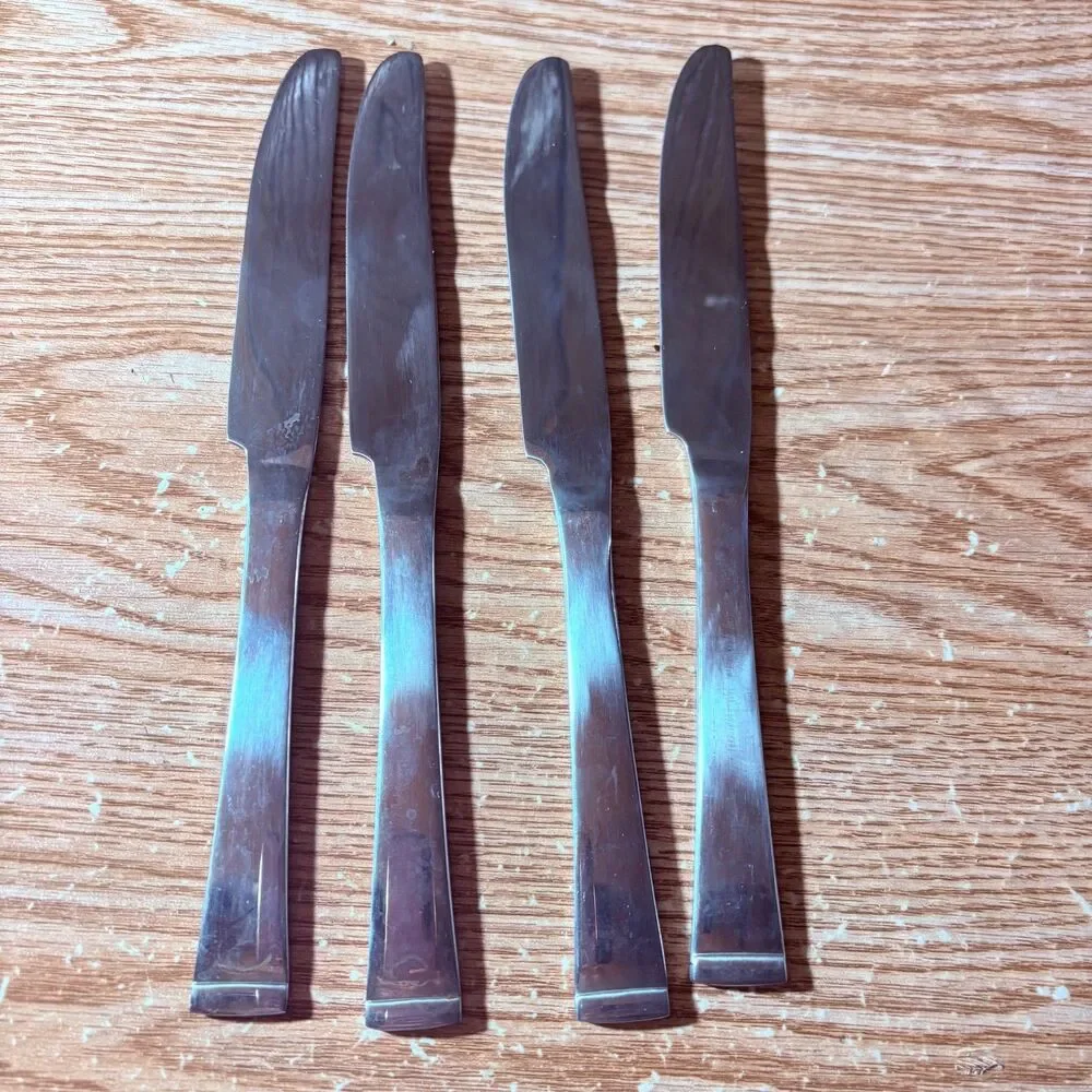 Pfaltzgraff Everyday Stainless Steel Set of 4 Dinner Knives